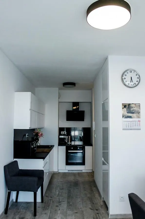 Modern Business Apartment Close To City Center Check In 24H Poznan